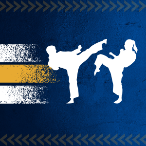 Taekwondo