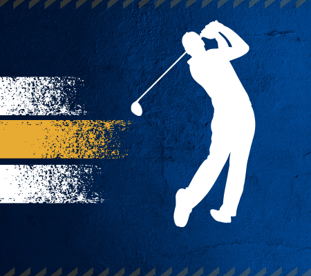 Golfe: Informações sobre a modalidade