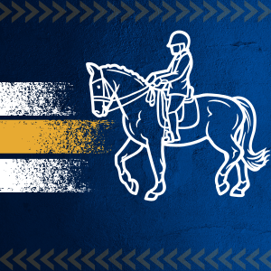 Hipismo: Regras e formas de disputa